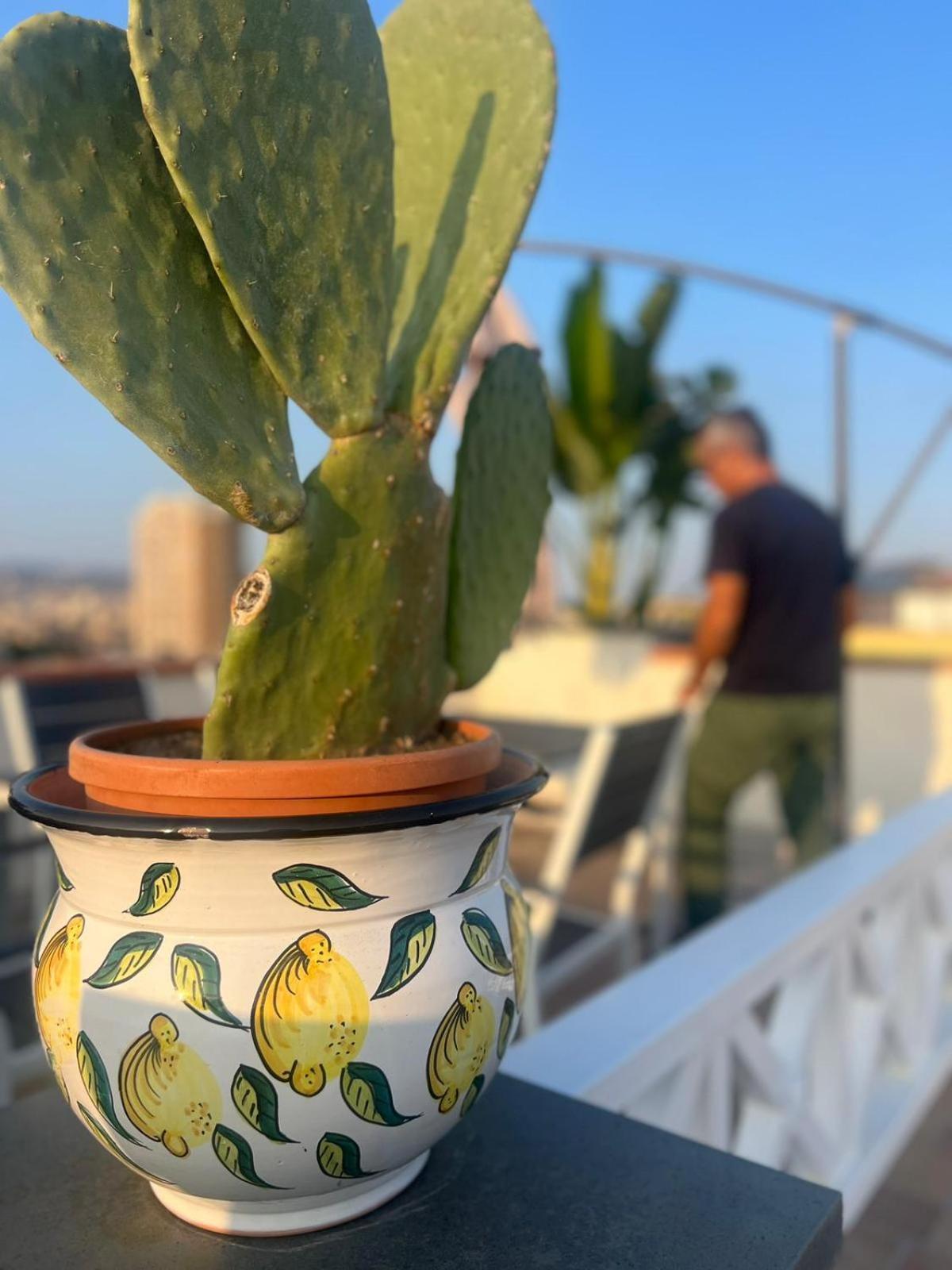 דירות קטאניה La Terrazza Sul Cielo מראה חיצוני תמונה